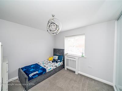 Picture 22